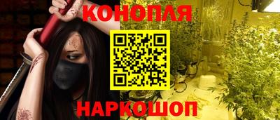 шишки Краснознаменск
