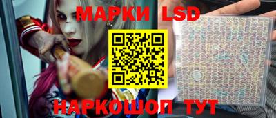 шишки Краснознаменск