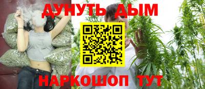шишки Краснознаменск