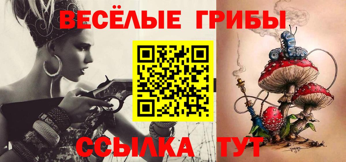 Красногорск  Галлюциногенные грибы Psilocybe  Галлюциногенные грибы мухоморы  Вход с VPN 
