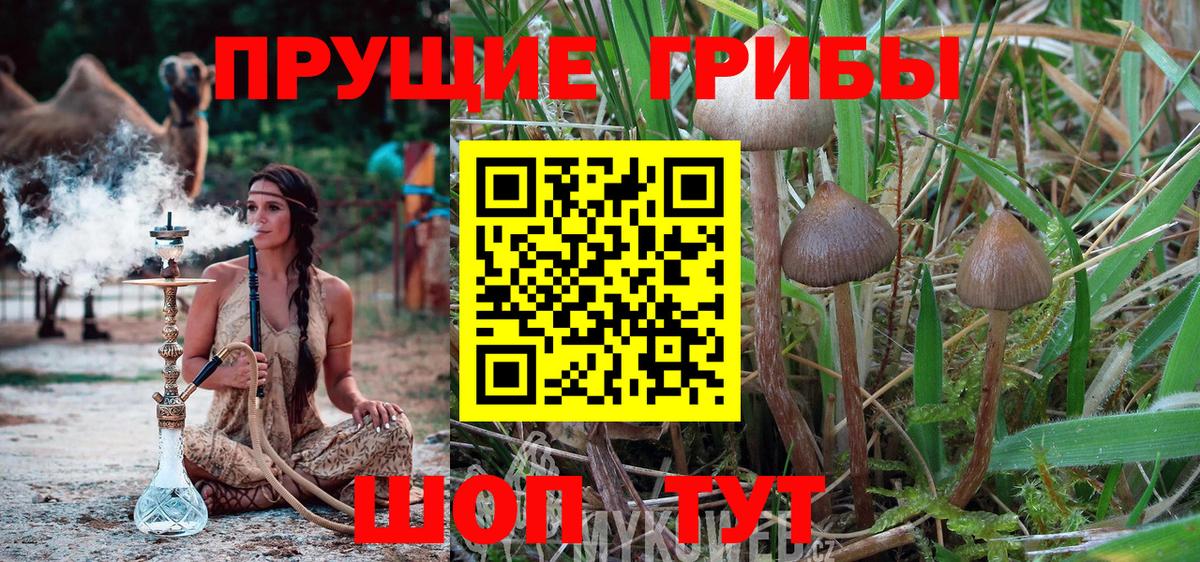 Галлюциногенные грибы мухоморы Красногорск